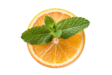 Fresh citrus slice with mint leaves for healthy lifestyle, cooking, and beverage design