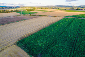 scenic drone view of a rural landscape with multiple fields aerial perspective of colorful farmland, agricultural concept background