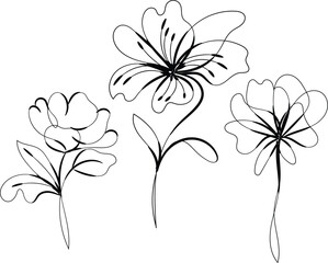 Floral vector illustration of a flower set with spring blossom and leaf design