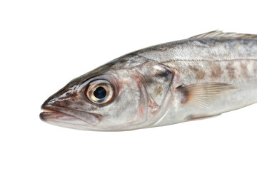 Fototapeta premium Fresh fish with glistening scales exhibiting intricate details in a kitchen setting ideal for culinary use and food presentation
