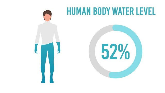 Human Body Water Level on green and white screen background 