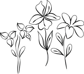 A vector set of floral flowers illustration showcases a beautiful spring pattern with decorative leaves and blossoms