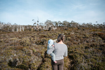 tasmania alpine plants, hiking with a baby on a boardwalk in a national park