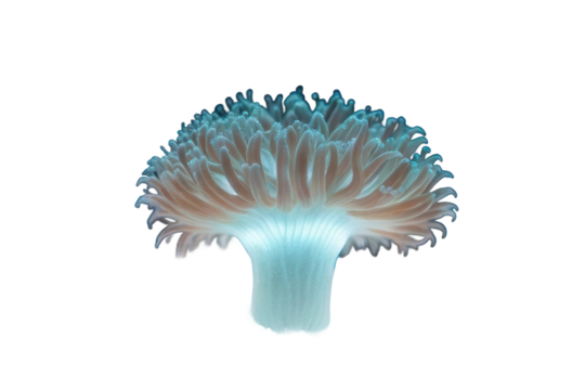Unique underwater mushroom with vibrant bluish-green colors, suitable for creative design and educational purposes