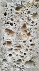 Close-up of Porous Rock Texture: A Study in Natural Forms