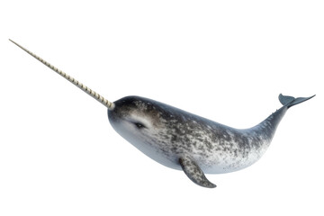 Majestic narwhal swimming gracefully in the ocean depths showcasing its long spiral tusk and unique pattern