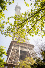 Dreamy spring Eiffel Tower - Paris