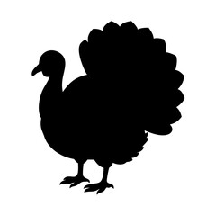 Turkey silhouette vector illustration for thanksgiving day and fall season designs and decoration
