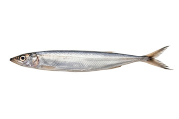 Fototapeta premium Fresh silver fish ready for cooking or grilling for a delicious seafood dish at home