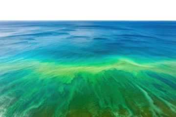 Vibrant coastal landscape showcasing the interplay of turquoise and green waters under clear skies