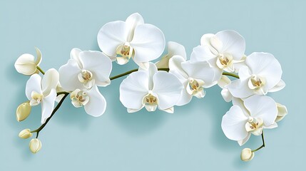 White Orchid Branch with Pastel Blue.