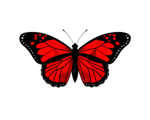 Red and Black Monarch Butterfly Vector Art on White Background