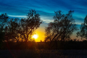 Naklejka premium landscape of sunset with cloudy orange sky