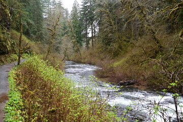 Upper north Falls and Silver creek river at Silver Falls state park, Oregon