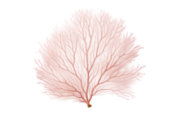 Delicate sea fan coral for ocean conservation design projects and marine education materials