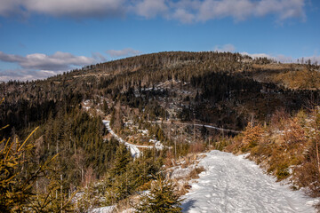 Zniszczony las w górach. Szlak w Beskidach w okolicach Góry Radziejowa. Beskid Sądecki w zimowej aurze. Treking po górach.
