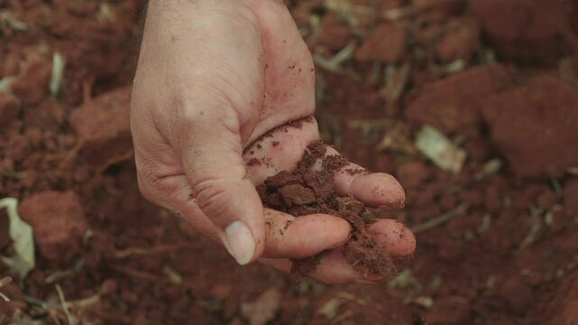 Farmer's hand inspecting and holding red sand.