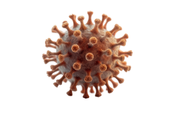 Virus structure detailed view showcasing the unique features and importance of viral research in health science