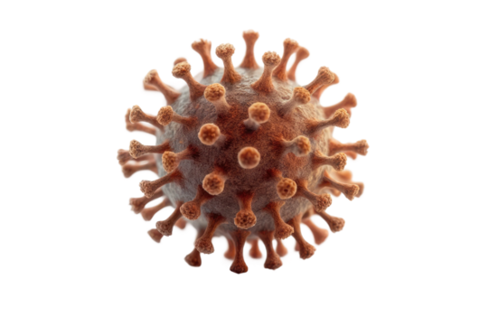 Virus structure detailed view showcasing the unique features and importance of viral research in health science