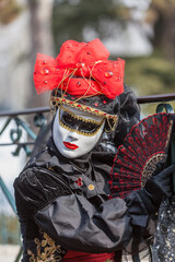 Disguised Person - Annecy Venetian Carnival 2013