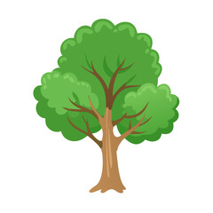 Obraz premium Tree: The Natural Giant and Oxygen Provider