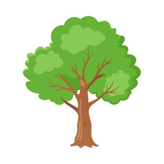 Obraz premium Tree: The Natural Giant and Oxygen Provider