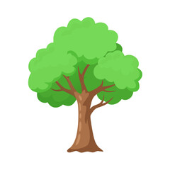 Tree: The Natural Giant and Oxygen Provider