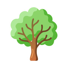 Tree: The Natural Giant and Oxygen Provider
