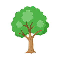 Obraz premium Tree: The Natural Giant and Oxygen Provider