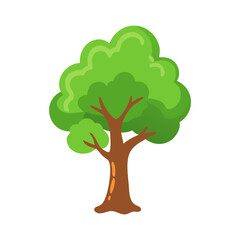 Tree: The Natural Giant and Oxygen Provider
