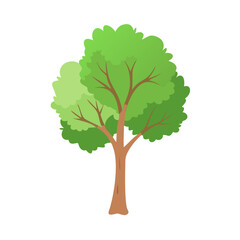 Obraz premium Tree: The Natural Giant and Oxygen Provider