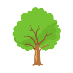 Tree: The Natural Giant and Oxygen Provider