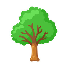 Tree: The Natural Giant and Oxygen Provider