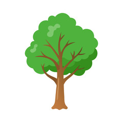 Obraz premium Tree: The Natural Giant and Oxygen Provider