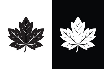 Maple Leaf icon vector on White Background ,Vector Art Illustration on white background.