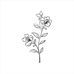 floral corner silhouette design