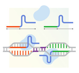 Genetics Research - Gene Editing and Modifying DNA Helix - CRISPR-CAS9 Technology - Abstract Illustration