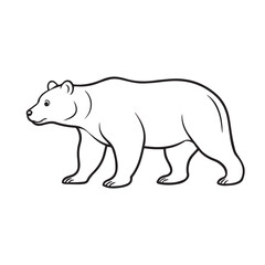 wild white bear outline in vector art