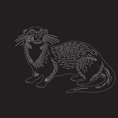 sea seal animals in vector art