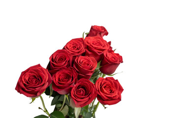 Obraz premium bouquet of red roses on transparent background 