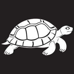 turtle in vector art wild animal underwater animal