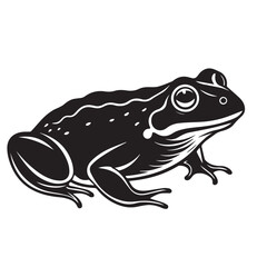 cute lovely animal frog in vector art