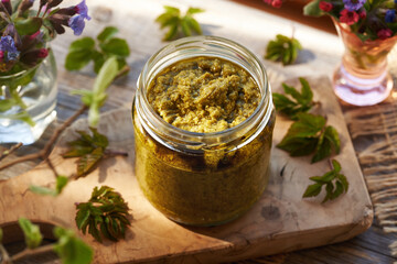 Goutweed pesto made with wild edible plants collected in early spring