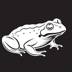 Frog in vector art frog outline art