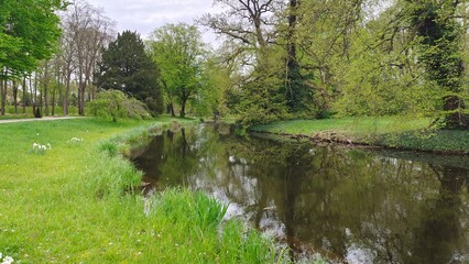 The grassy, flower-filled bank of the river that flows through the city park has a walkway, bushes and trees with young foliage and ivy. Reflections in the water. The water level is high