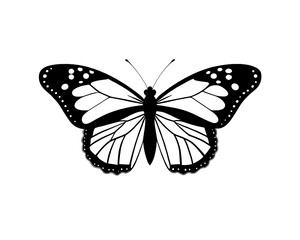 Black and White Butterfly Outline Illustration