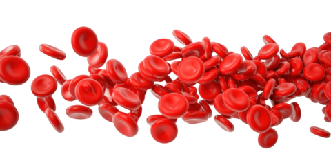 Red blood cells flowing  isolated over png transparent background	