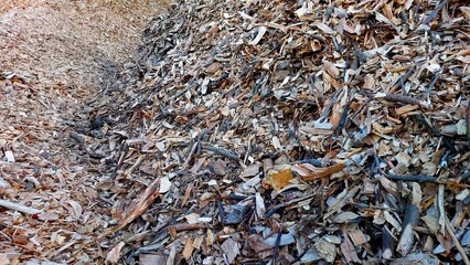 Wood chips for biofuel production stored at an industrial facility in autumn