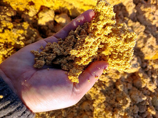 Handling Grain Bard Waste DDGS for Sustainable Agriculture Applications