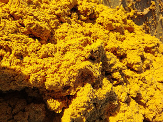 Grain bard waste DDGS showing texture and color in a production facility